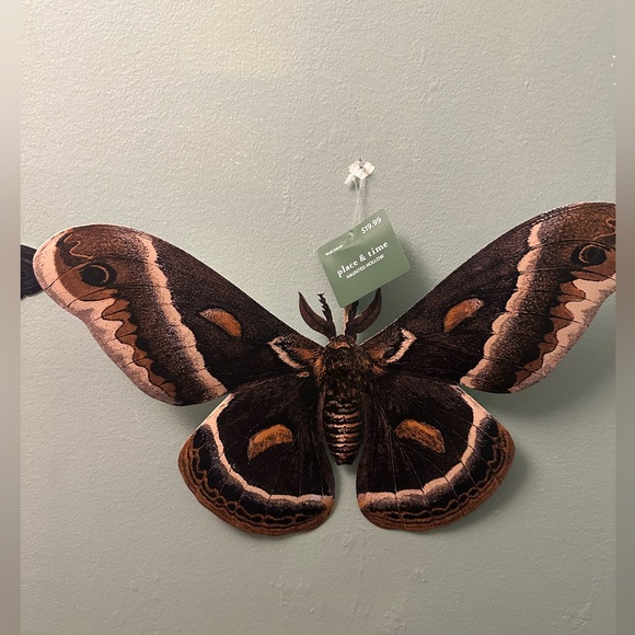 Time and Place set of Metal Moth wall decor - Picture 5 of 8